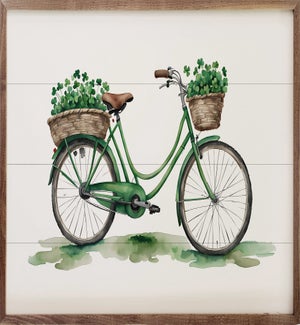 Green Bike White